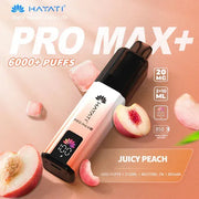 Hayati Pro Max Plus 6000+ | 5 PACK - Discount Vapes
